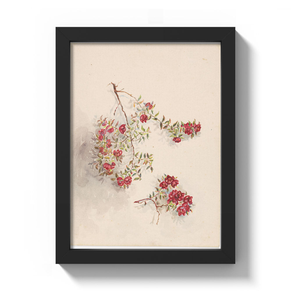 From Ruapehu by Miss Fanny Richardson - Compact / Full Bleed / Black Frame