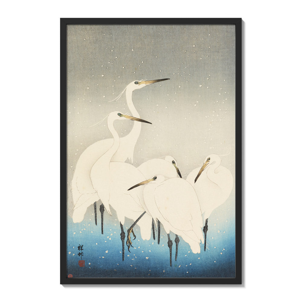 Five white egrets. by Ohara Koson - Extra Large / Full Bleed / Black Frame