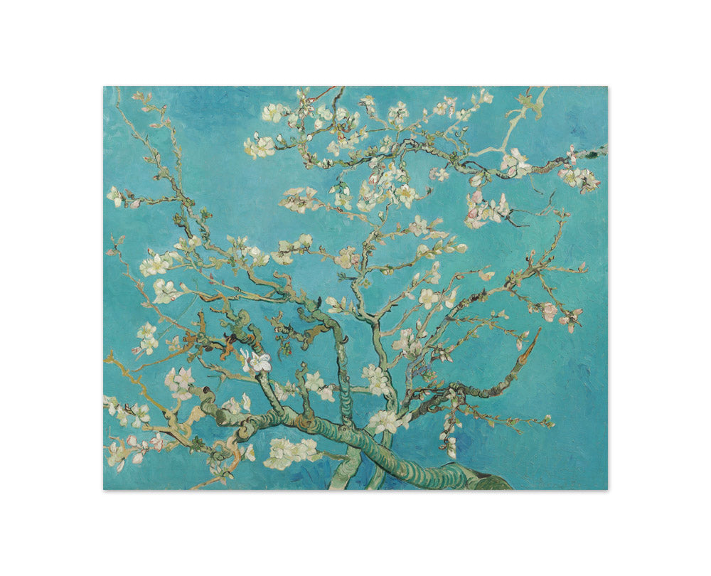 Almond Blossom by Vincent van Gogh - Compact / Full Bleed / No Frame