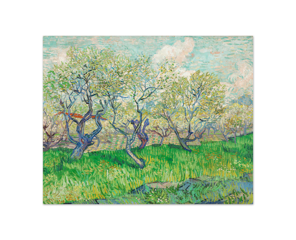 Orchard in Blossom by Vincent van Gogh - Compact / Full Bleed / No Frame