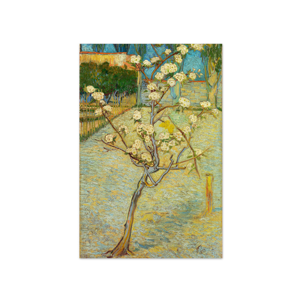 Small Pear Tree in Blossom by Vincent van Gogh - Compact / Full Bleed / No Frame