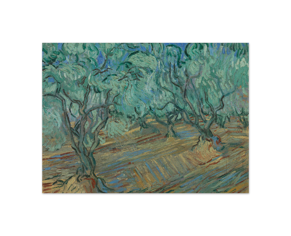 Olive Grove by Vincent van Gogh - Compact / Full Bleed / No Frame