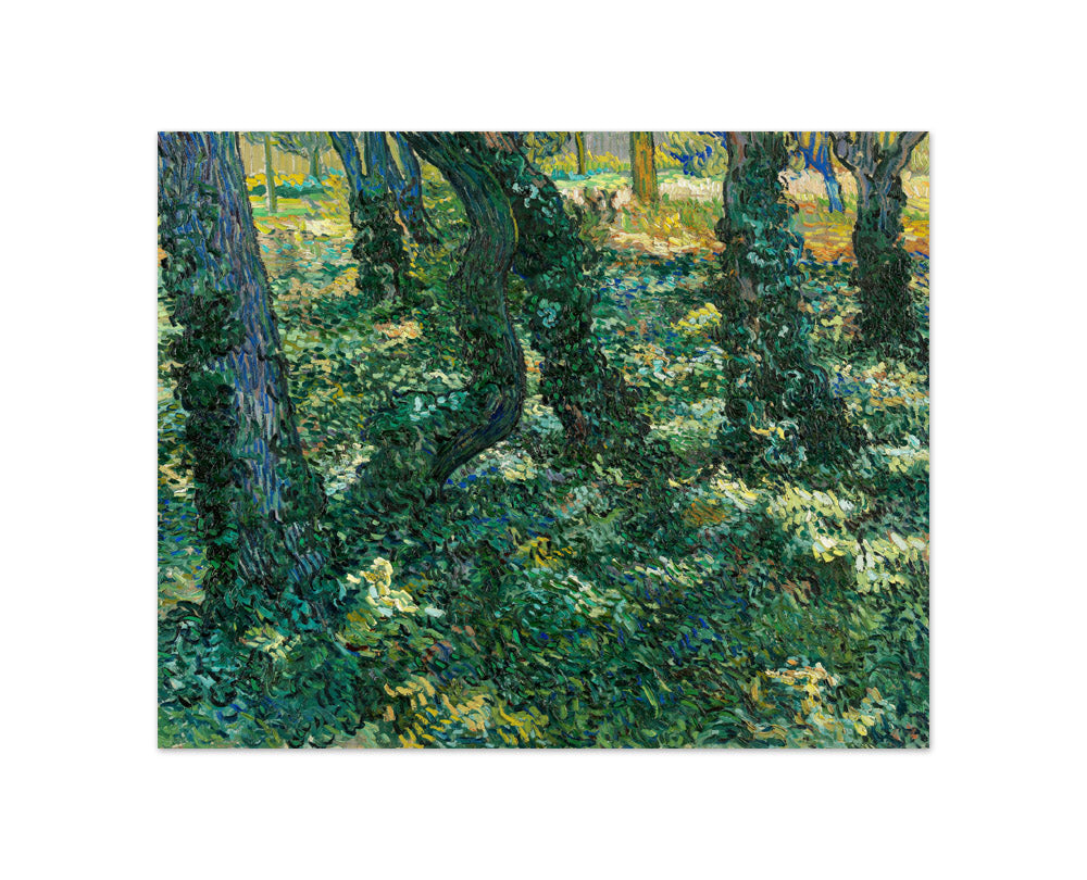 Undergrowth by Vincent van Gogh - Compact / Full Bleed / No Frame