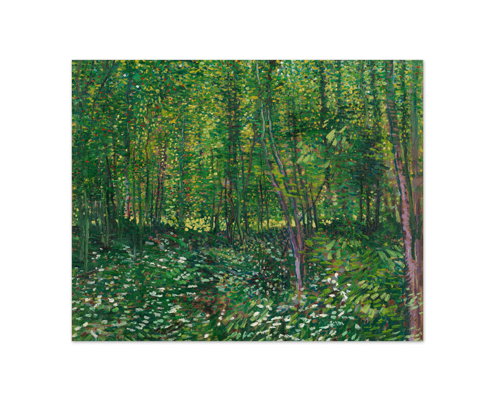 Trees and Undergrowth by Vincent van Gogh - Compact / Full Bleed / No Frame