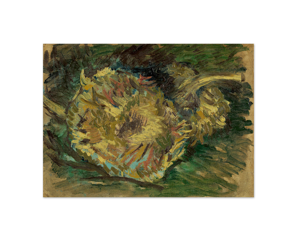 Sunflowers Gone to Seed by Vincent van Gogh - Compact / Full Bleed / No Frame