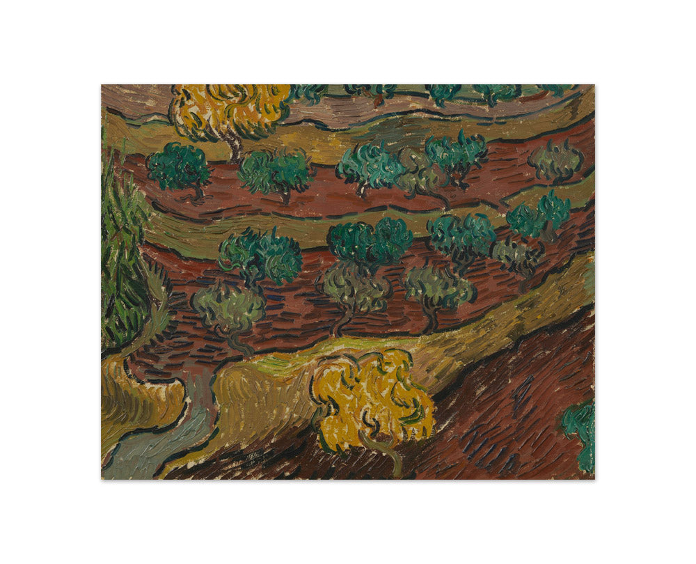 Olive Trees on a Hillside by Vincent van Gogh - Compact / Full Bleed / No Frame