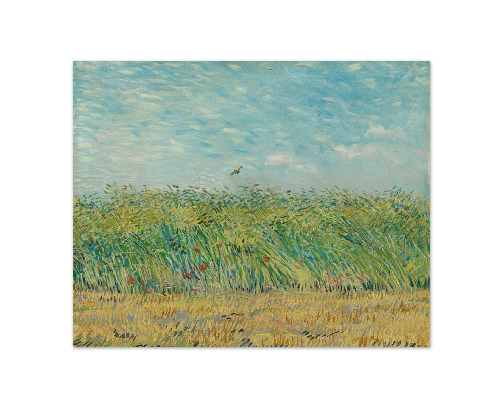 Wheatfield with Partridge by Vincent van Gogh - Compact / Full Bleed / No Frame