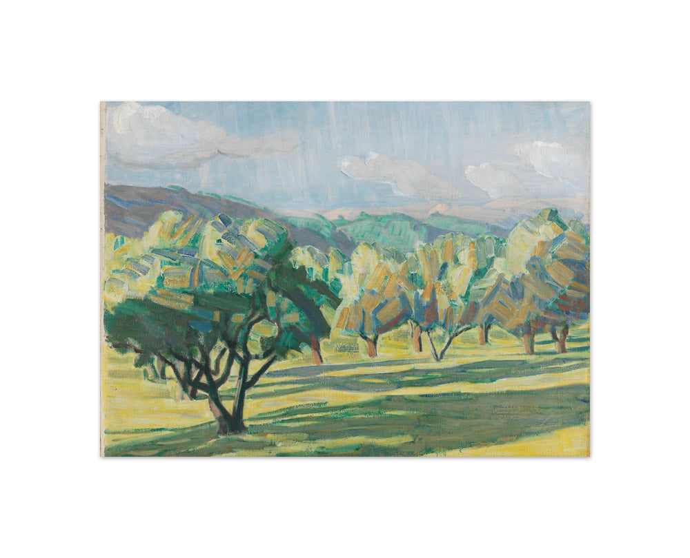 Olive Trees, Cagnes by Niels Larsen Stevns - Compact / Full Bleed / No Frame