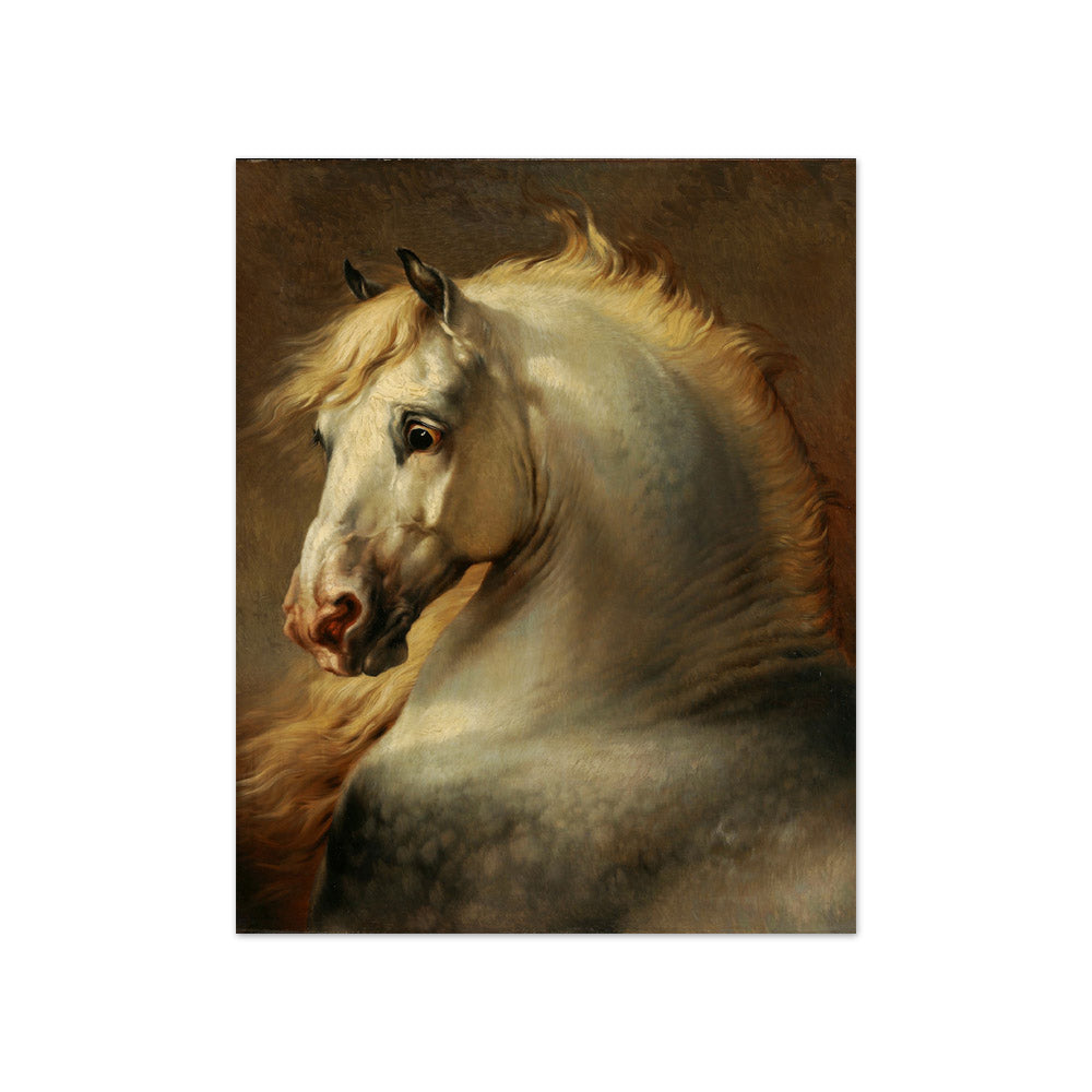 Head of a Horse by Eugène Verboeckhoven - Compact / Full Bleed / No Frame