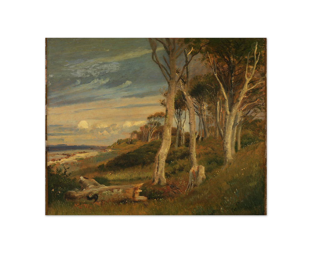 The Slopes of Asnæs Dyrehave by Johan Thomas Lundbye - Compact / Full Bleed / No Frame