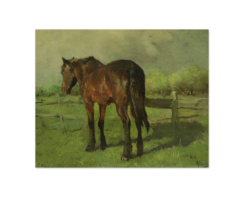 Horse by Anton Mauve - Compact / Full Bleed / No Frame