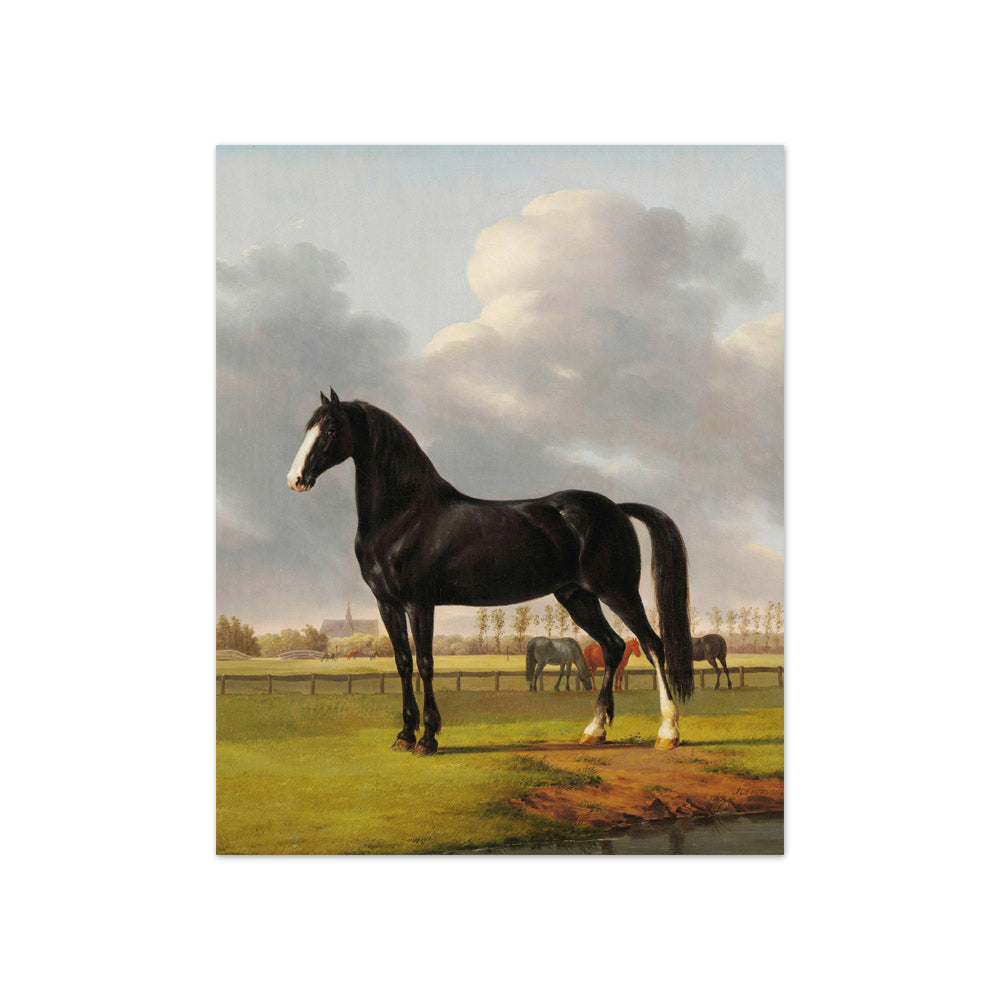 Adriaan van der Hoop’s Trotter ‘De Vlugge’ (The Fast One) in a Meadow by Anthony Oberman - Compact / Full Bleed / No Frame