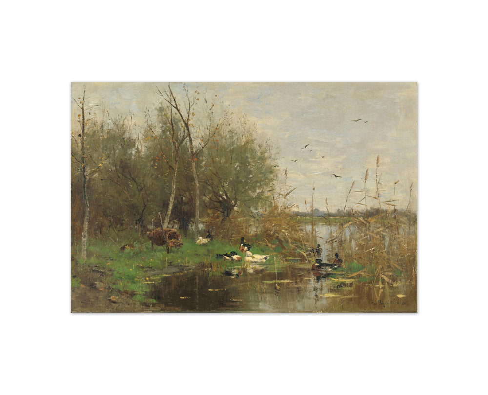 Ducks beside a duck shelter on a ditch by Geo Poggenbeek - Compact / Full Bleed / No Frame