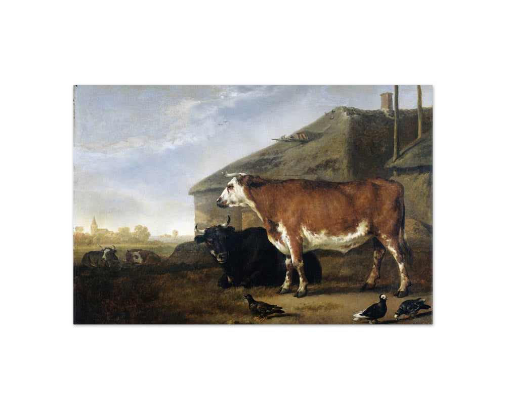 Cattle by Abraham van Calraet - Compact / Full Bleed / No Frame