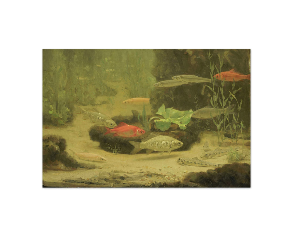 Gold- and Silverfish in an Aquarium by Gerrit Willem Dijsselhof - Compact / Full Bleed / No Frame