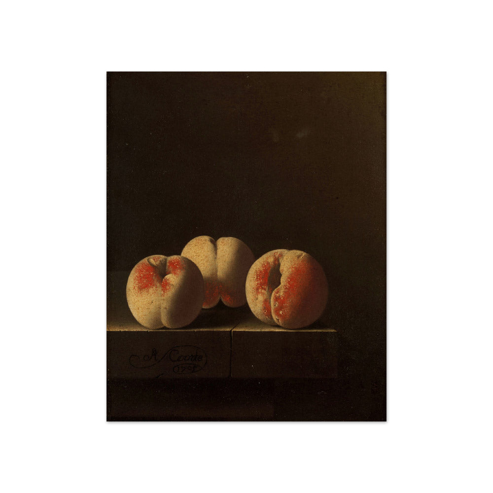 Three Peaches on a Stone Plinth by Adriaen Coorte - Compact / Full Bleed / No Frame