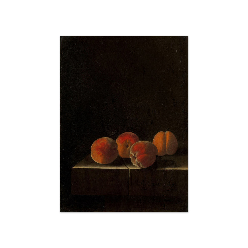 A Sprig of Gooseberries on a Stone Plinth by Adriaen Coorte - Compact / Full Bleed / No Frame