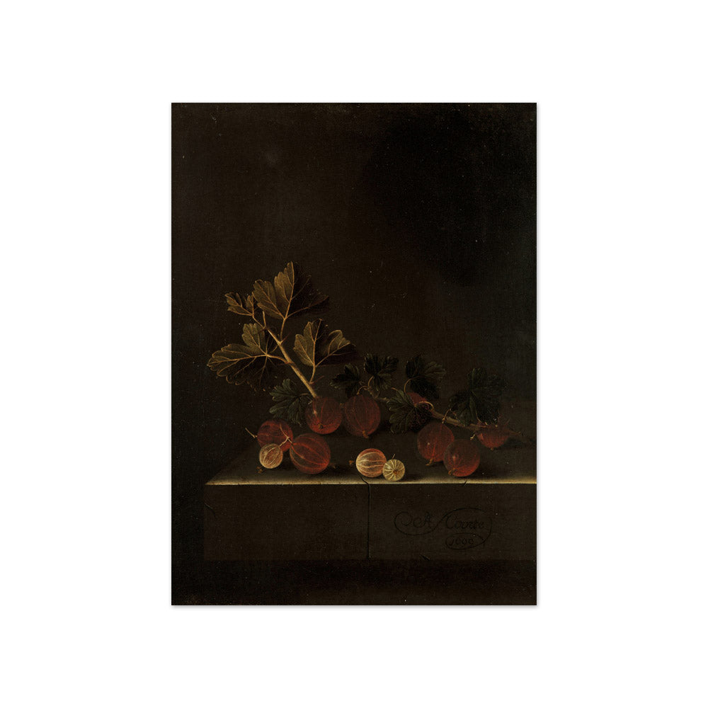 A Sprig of Gooseberries on a Stone Plinth by Adriaen Coorte - Compact / Full Bleed / No Frame