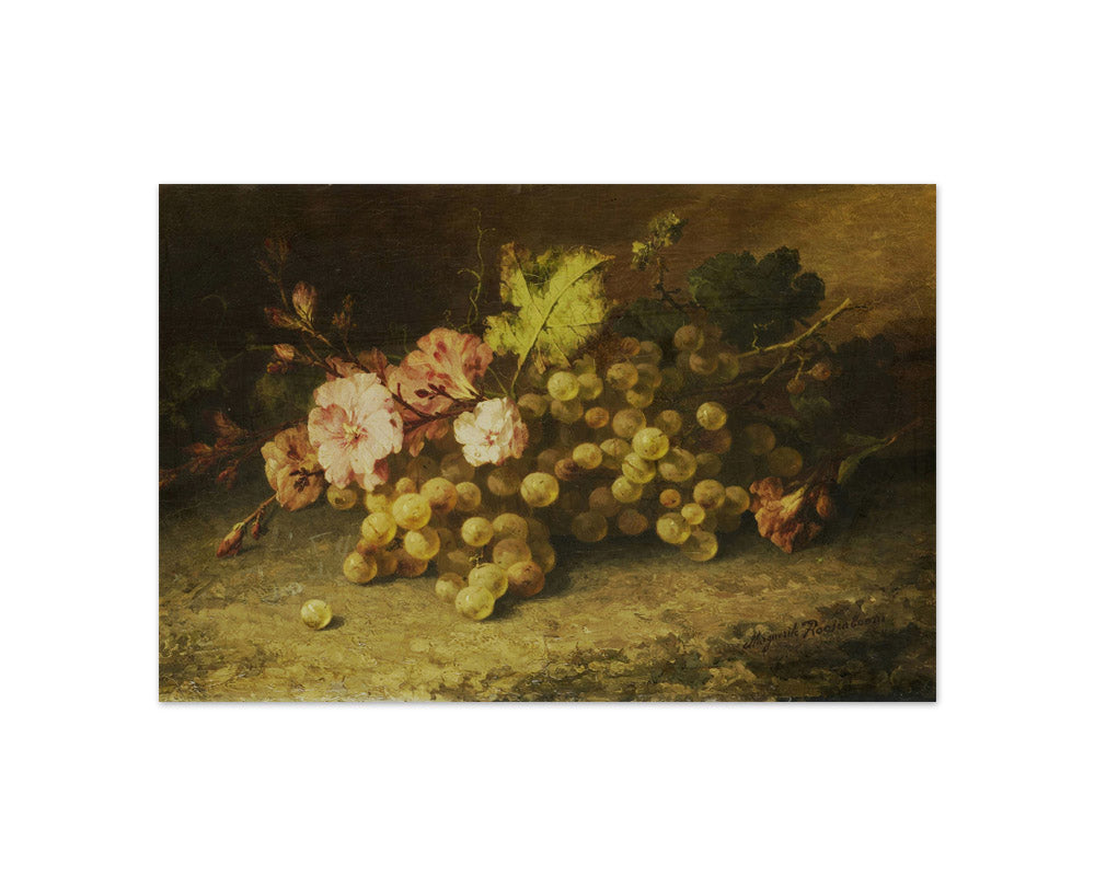 Still Life with Grapes by Margaretha Roosenboom - Compact / Full Bleed / No Frame