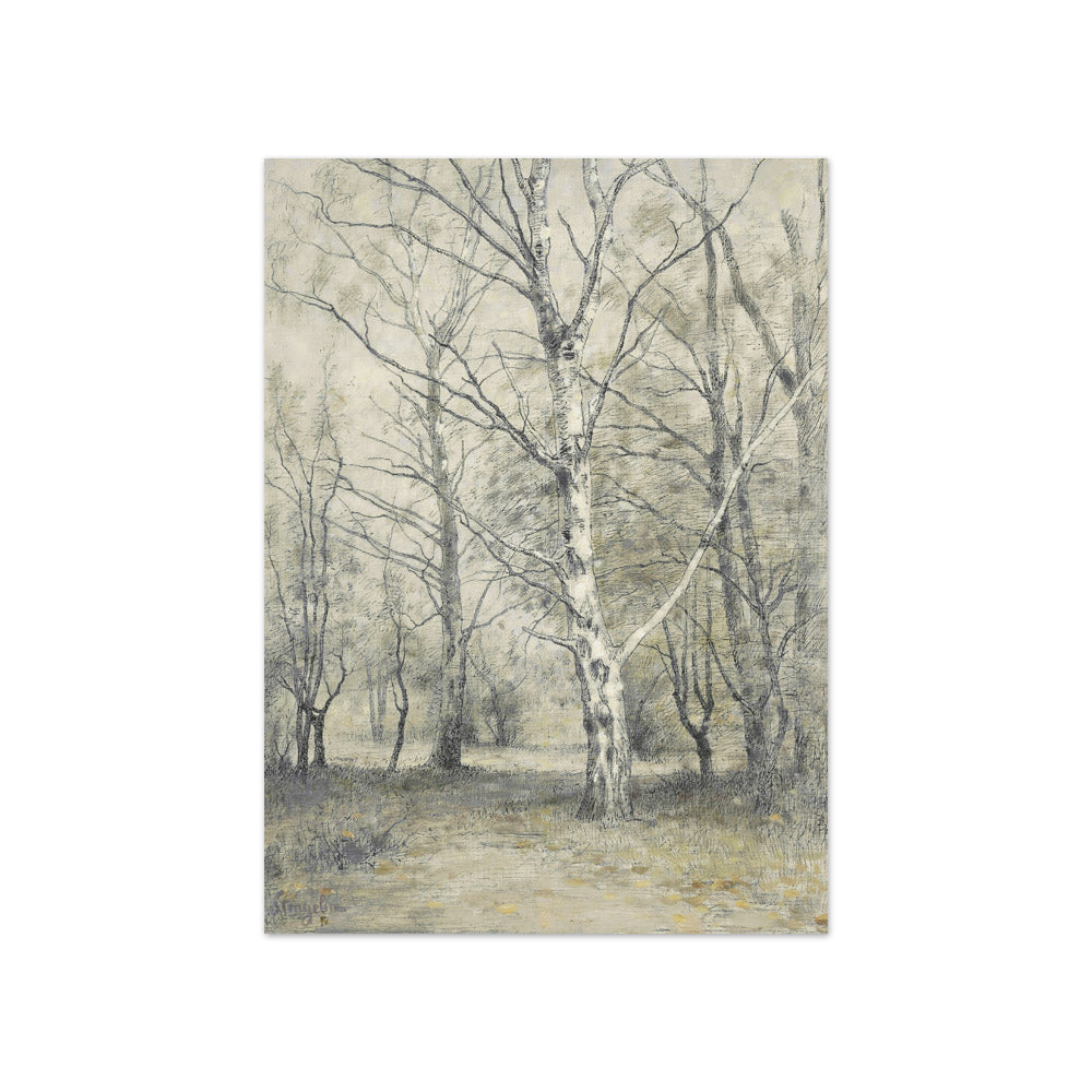 Forest with birch trees by Alphonse Stengelin - Compact / Full Bleed / No Frame