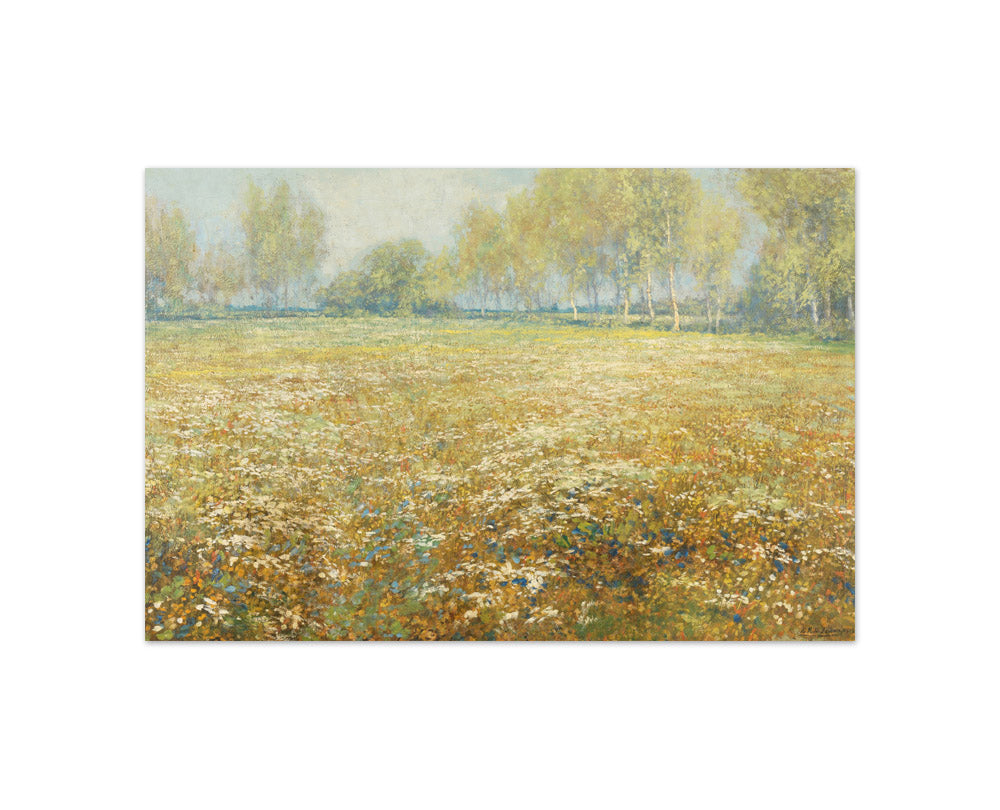 Meadow in Bloom by Egbert Rubertus Derk Schaap - Compact / Full Bleed / No Frame