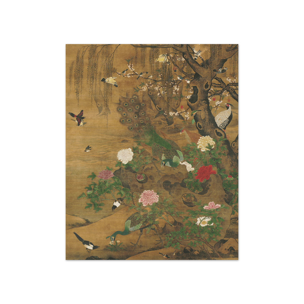 Birds Gather under the Spring Willow by Yin Hong - Compact / Full Bleed / No Frame
