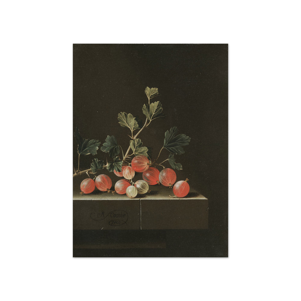 Gooseberries on a Table by Adriaen Coorte - Compact / Full Bleed / No Frame