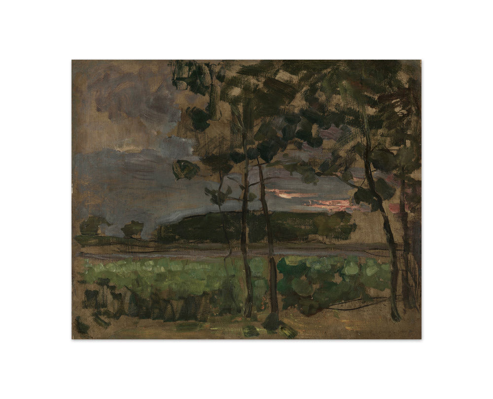 Field with Young Trees in the Foreground by Piet Mondrian - Compact / Full Bleed / No Frame