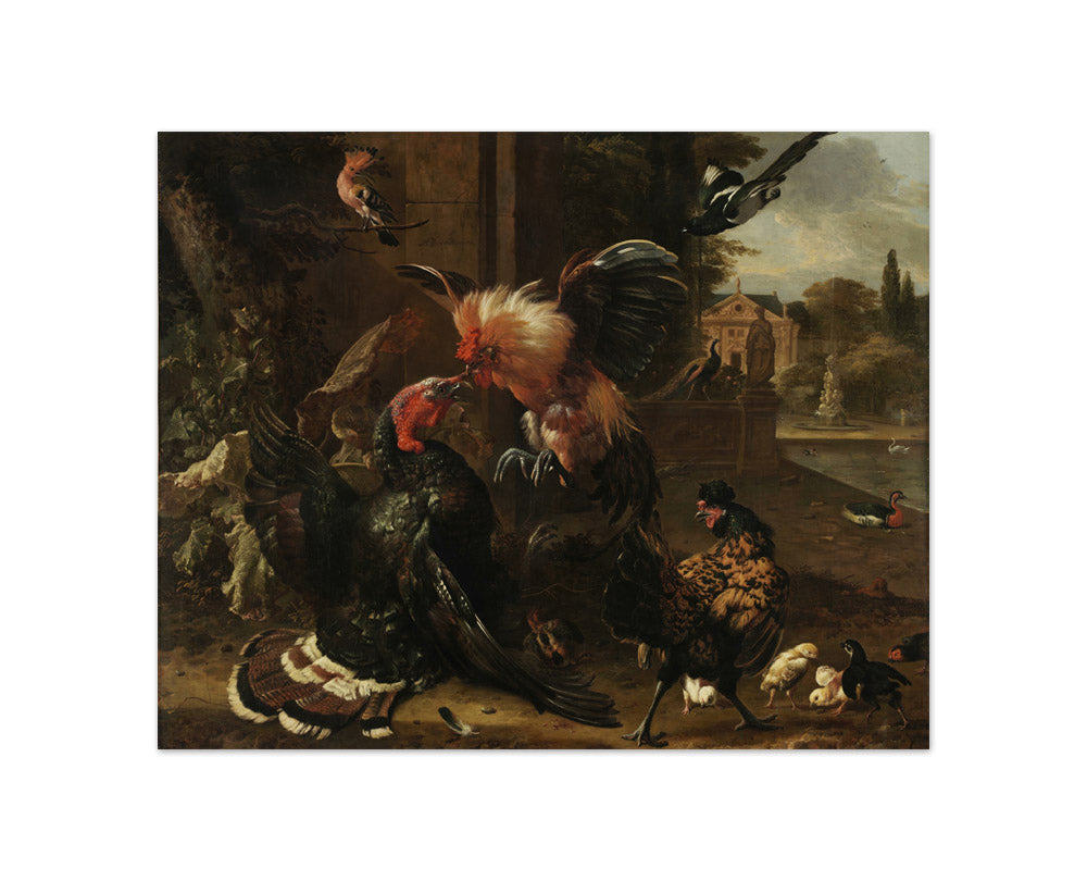 A Rooster and Turkey Fighting by Melchior de Hondecoeter - Compact / Full Bleed / No Frame