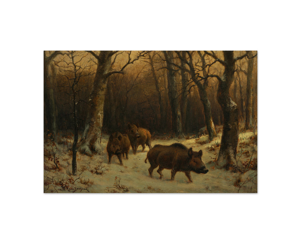 Wild Boars in the Snow by Rosa Bonheur - Compact / Full Bleed / No Frame