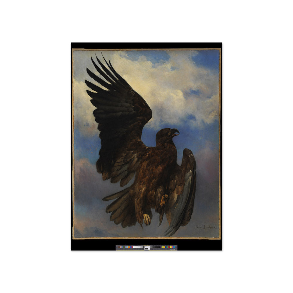 The Wounded Eagle by Marie-Rosalie - Compact / Full Bleed / No Frame