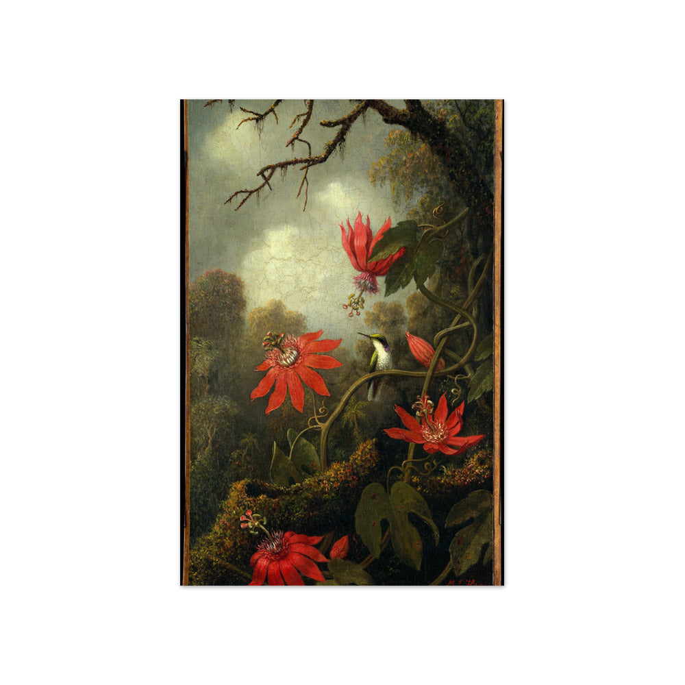 Hummingbird and Passionflowers by Martin Johnson Heade - Compact / Full Bleed / No Frame