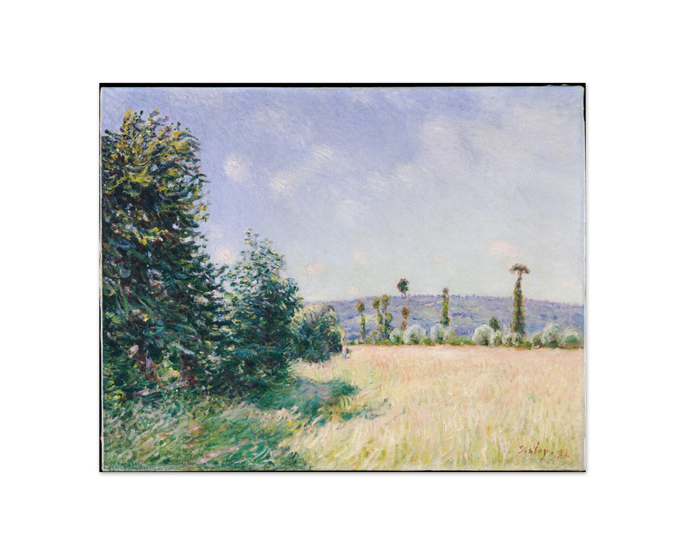 Sahurs Meadows in Morning Sun by Alfred Sisley - Compact / Full Bleed / No Frame