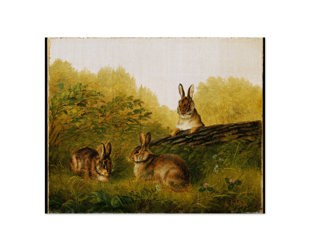 Rabbits on a Log by Arthur Fitzwilliam Tait - Compact / Full Bleed / No Frame