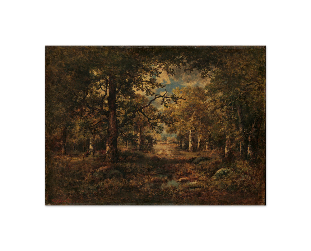 A Vista through Trees: Fontainebleau by Narcisse-Virgile Diaz de la Peña - Compact / Full Bleed / No Frame