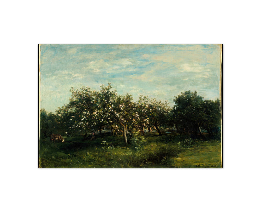 Apple Blossoms by Charles-François Daubigny - Compact / Full Bleed / No Frame