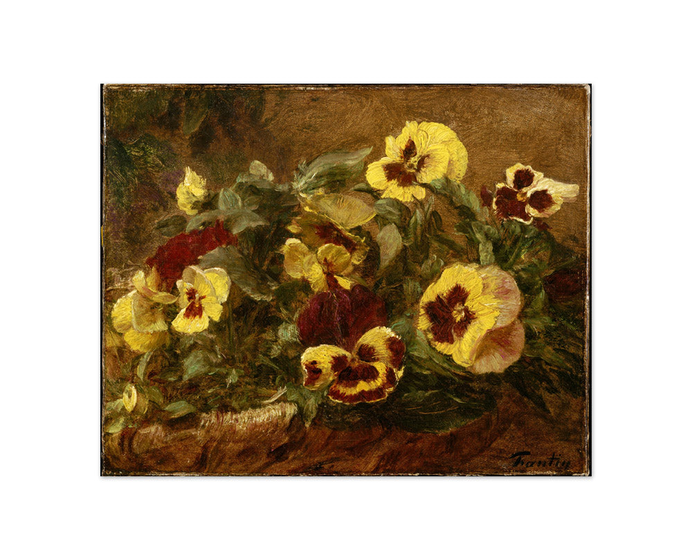 Pansies by Henri Fantin-Latour - Compact / Full Bleed / No Frame