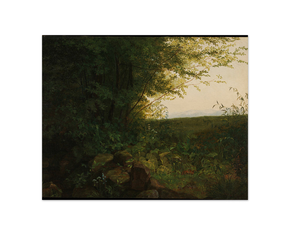 At the Edge of the Forest by August Heinrich - Compact / Full Bleed / No Frame