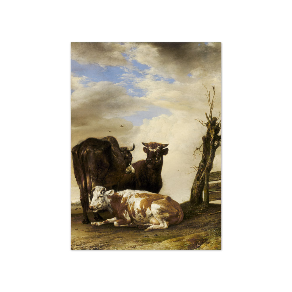 Two Cows and a Young Bull beside a Fence in a Meadow by Paulus Potter - Compact / Full Bleed / No Frame