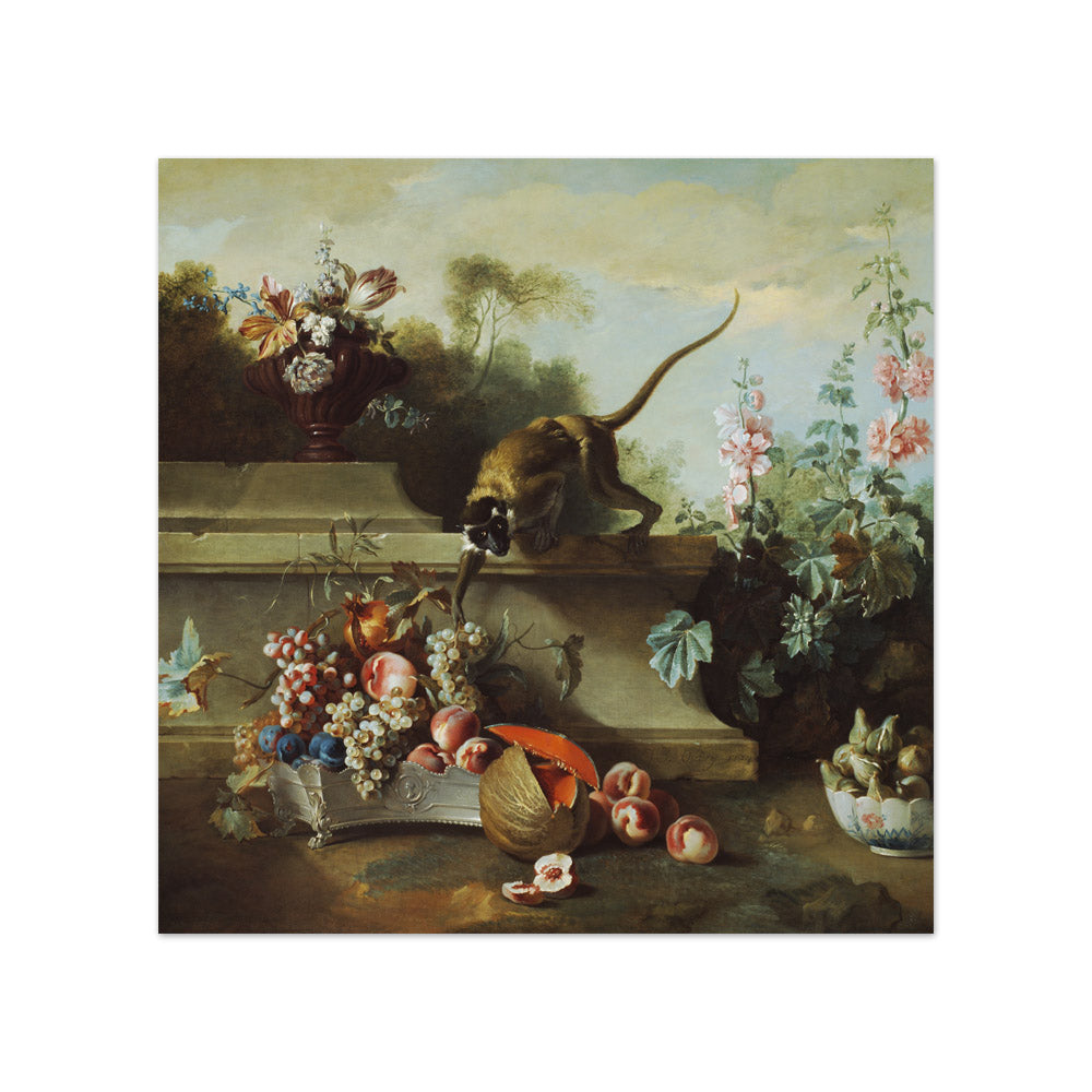 Still Life with Monkey, Fruits, and Flowers by Jean-Baptiste Oudry - Compact / Full Bleed / No Frame