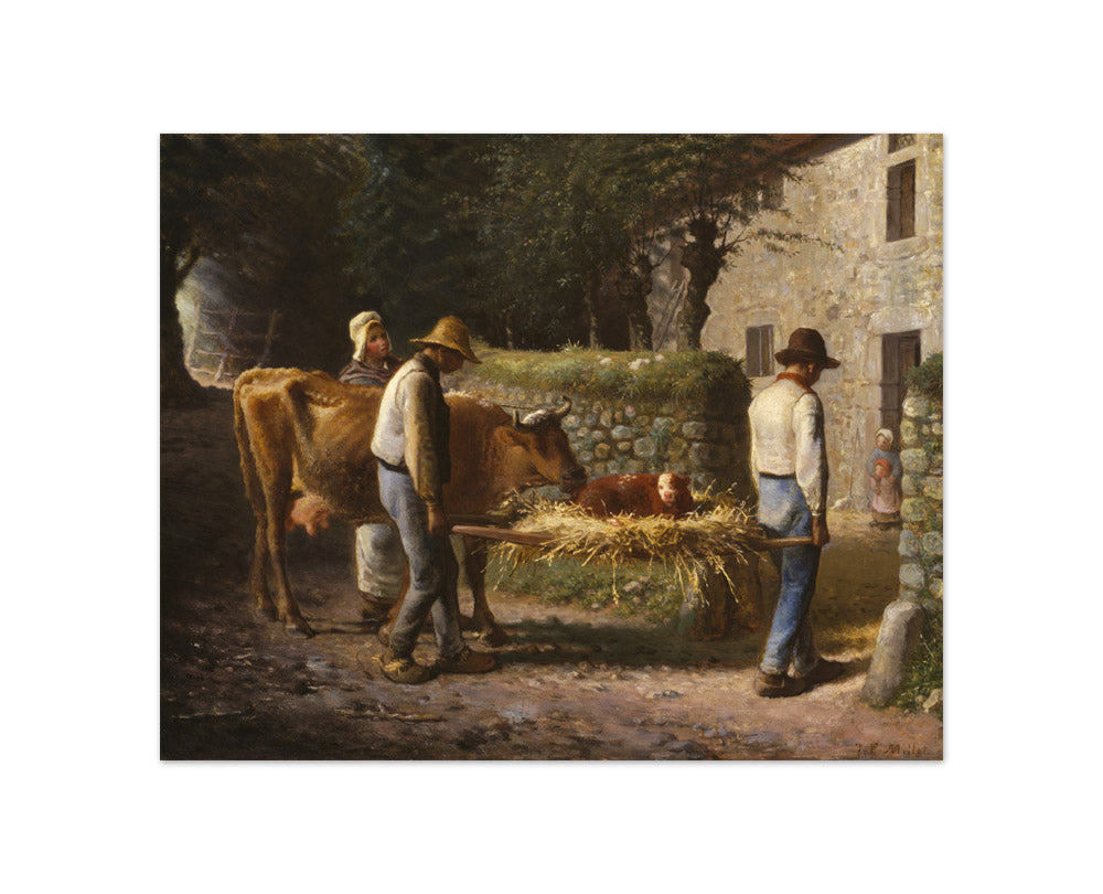 Peasants Bringing Home a Calf Born in the Fields by Jean François Millet - Compact / Full Bleed / No Frame