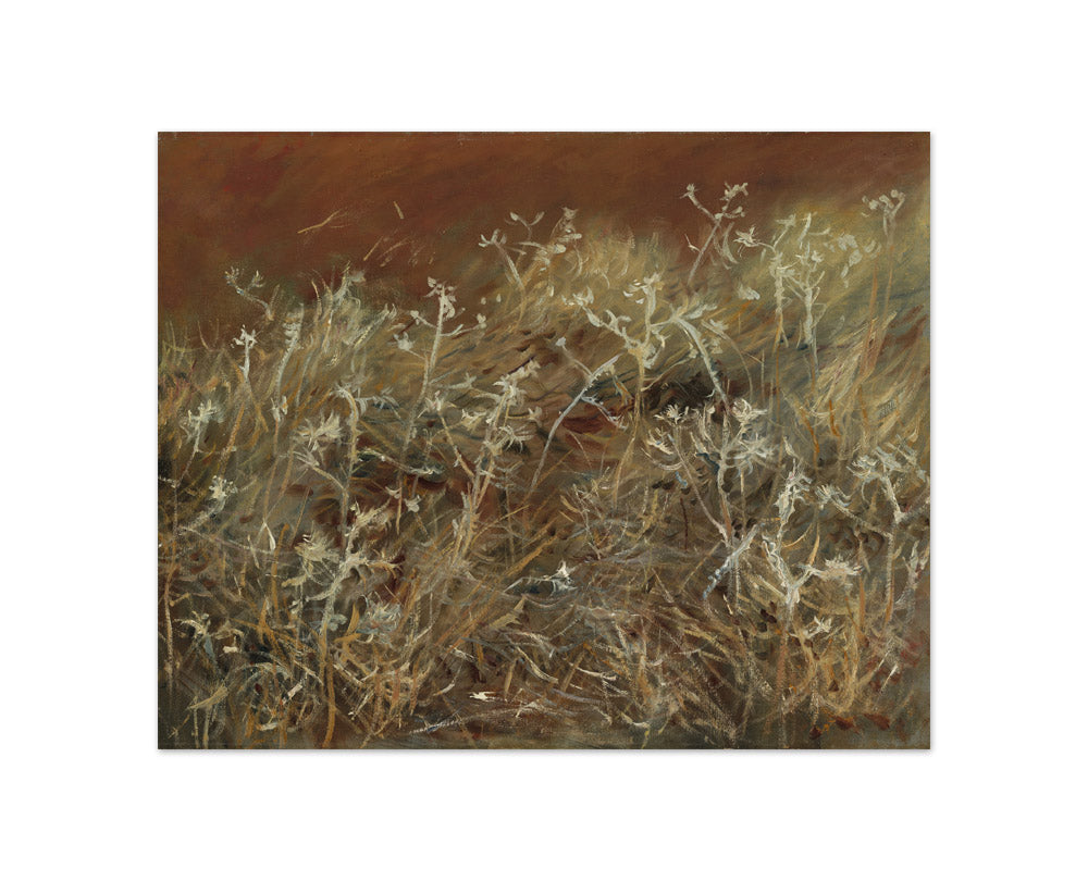 Thistles by John Singer Sargent - Compact / Full Bleed / No Frame