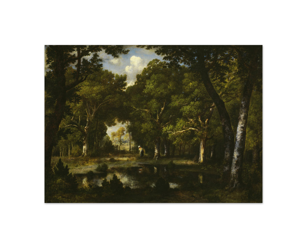 Pond in the Woods by Narcisse Virgile Diaz de la Peña - Compact / Full Bleed / No Frame