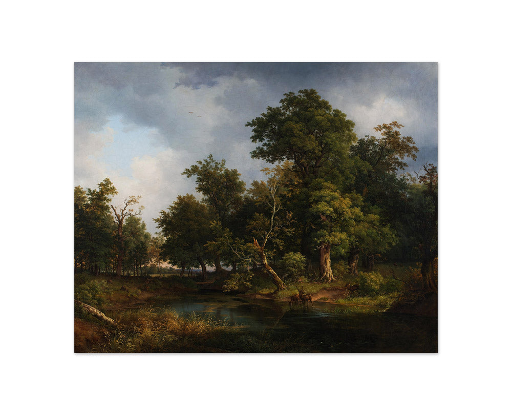 Forest landscape by Josef Feid - Compact / Full Bleed / No Frame