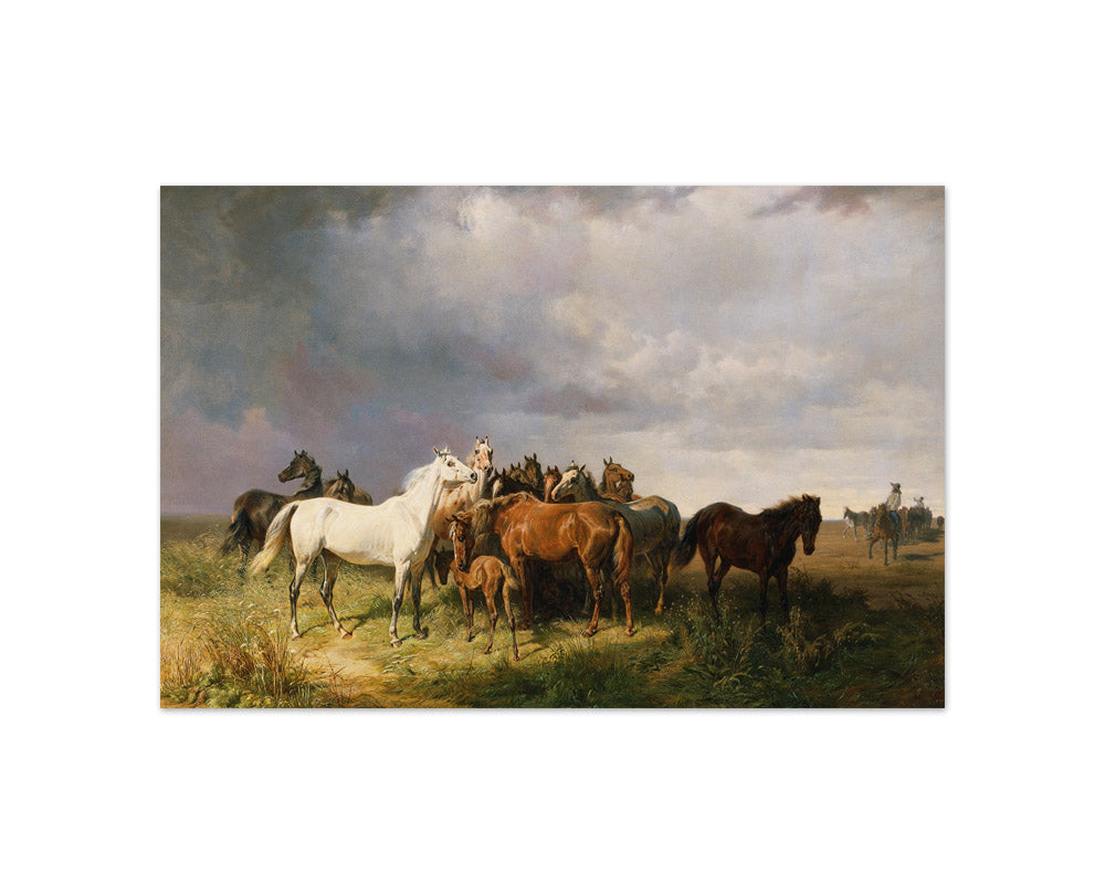 Horses on the Puszta by Franz Adam - Compact / Full Bleed / No Frame
