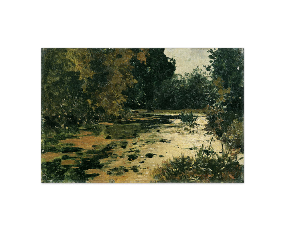 Forest pond by Adolf Gustav Ditscheiner - Compact / Full Bleed / No Frame