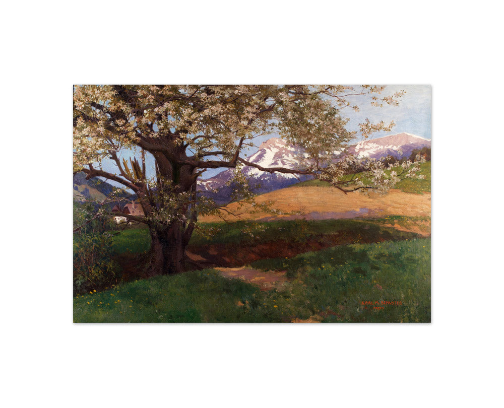 Blooming Cherry Tree by Karl Maria Schuster - Compact / Full Bleed / No Frame