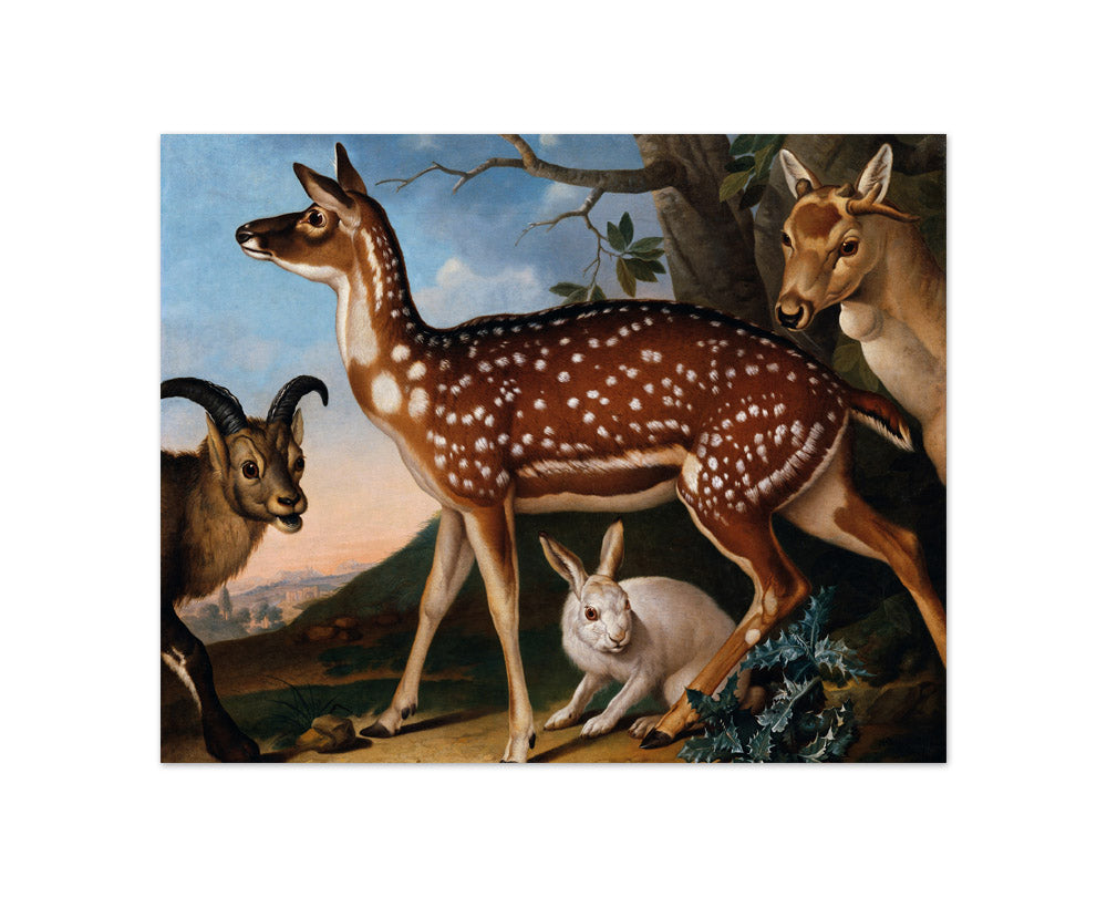 Fallow Deer, Ibex, and Hare by Philipp Ferdinand de Hamilton - Compact / Full Bleed / No Frame