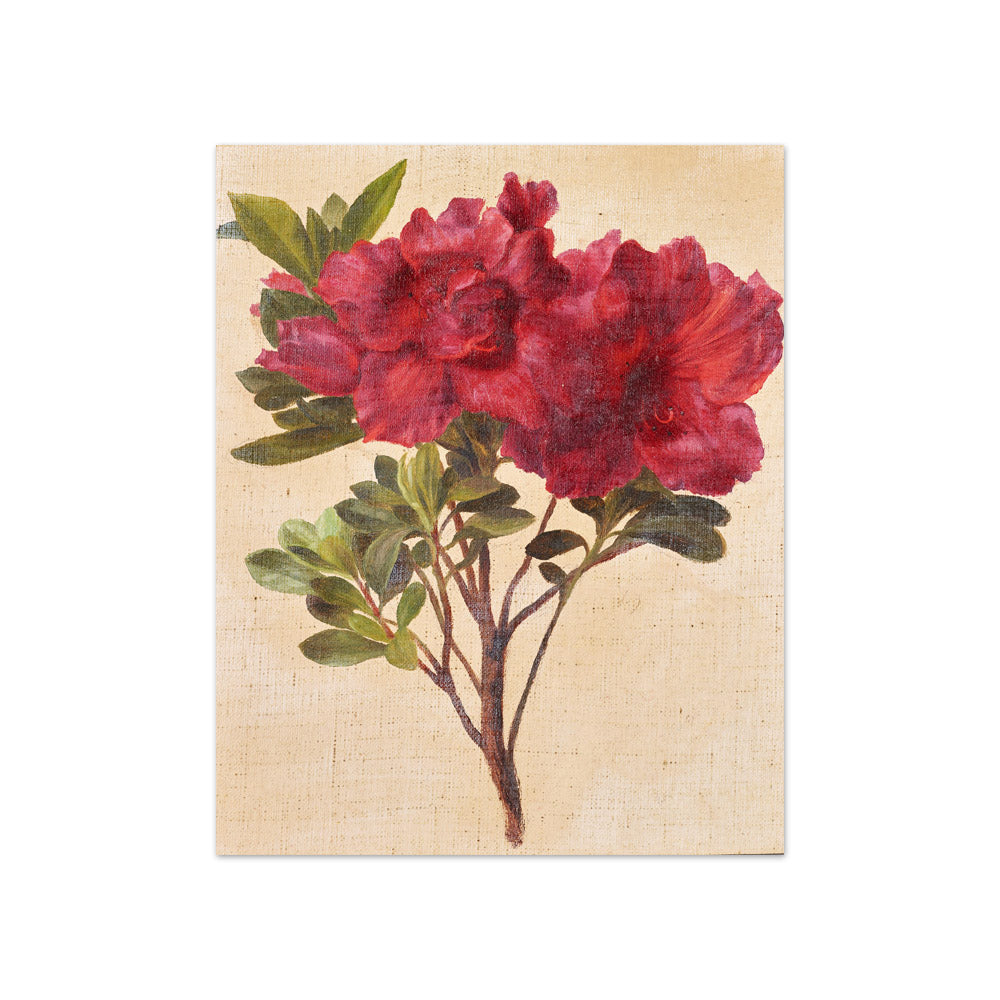 Rhododendron by Anton Hartinger - Compact / Full Bleed / No Frame