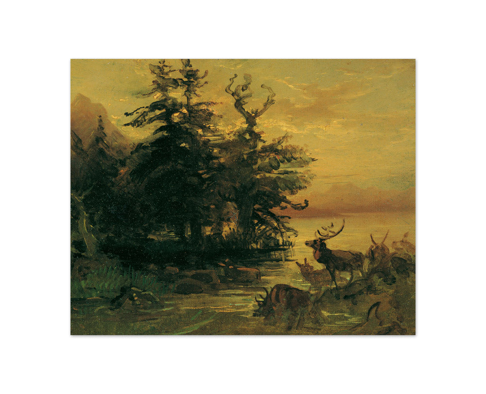 Wallowing Deer on the Shore of a Mountain Lake by Friedrich August Mathias Gauermann - Compact / Full Bleed / No Frame